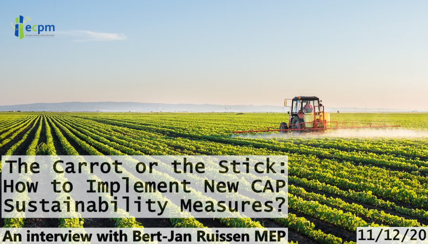 The Carrot or the Stick: How to Implement the New CAP Sustainability Measures?